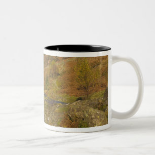 Ashness Bridge, Lake District, Cumbria, England Zweifarbige Tasse