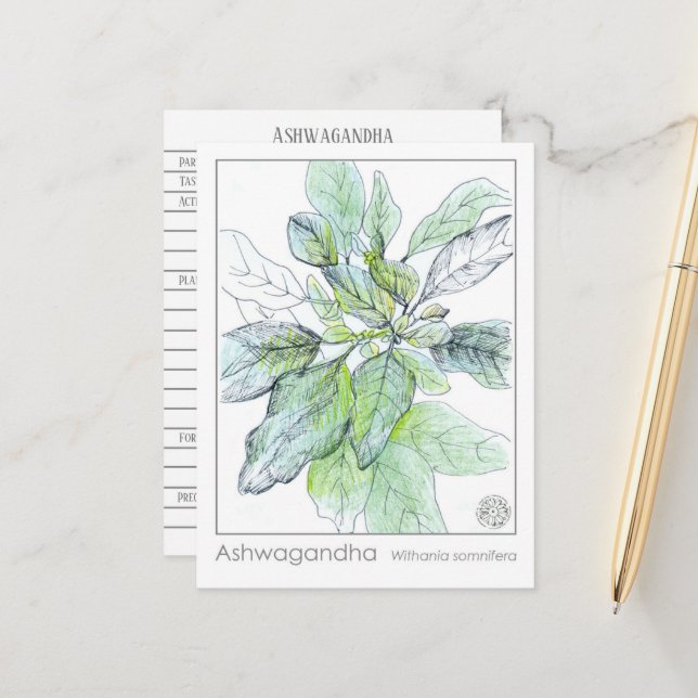 Ashwagandha Materia Medica Herbal Study Card Postkarte (Vorderseite/Rückseite Beispiel)