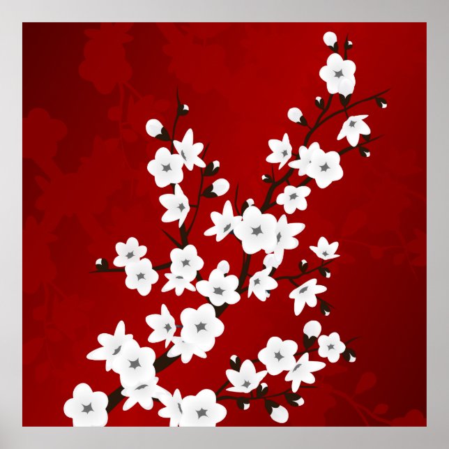 Asia Floral White Cherry Blossom Red Poster (Vorne)