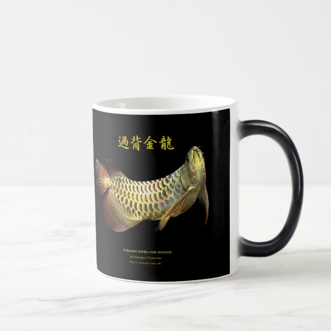 Asian Arowana Verwandlungstasse (Rechts)
