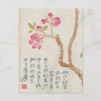 Asian Cherry Blossom Vintag Postcard Postkarte
