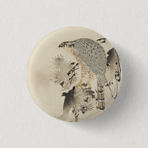 Asian Goshawk - 1890 Button