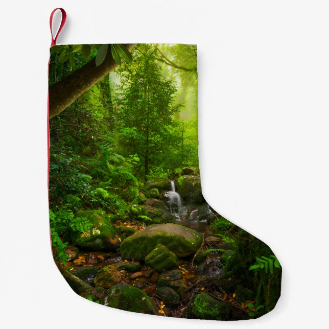 Asian tropical rainforestjungle,forest,environment kleiner weihnachtsstrumpf (Vorderseite)