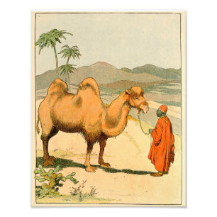 Asian Two Hump Camel Fotodruck