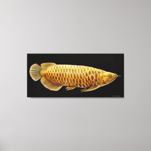 Asiatische Arowana Fische eingewickelte Leinwand