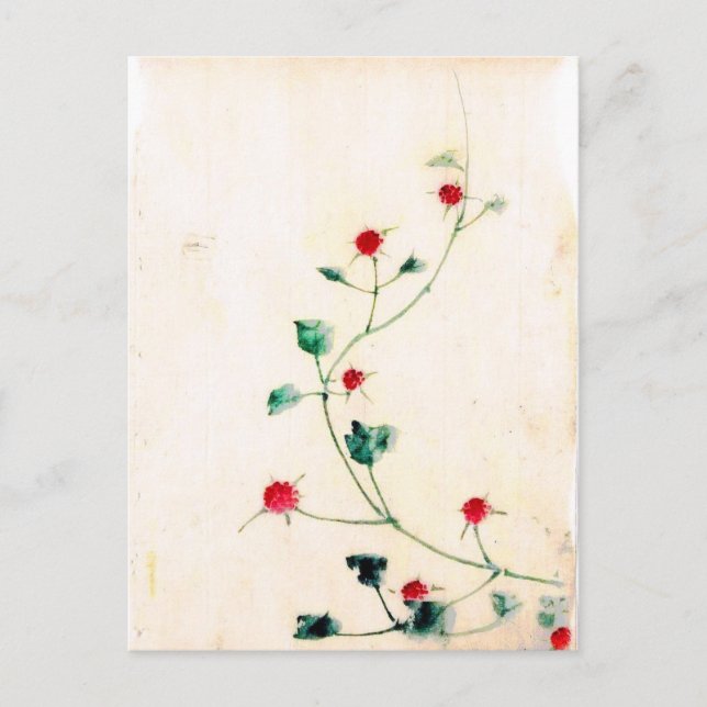 Asiatische Blume Postkarte (Vorderseite)