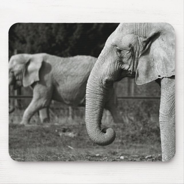 Asiatische Elefant-Mausunterlage Mousepad (Vorne)
