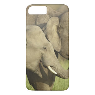 Asiatische Elefanten Case-Mate iPhone Hülle