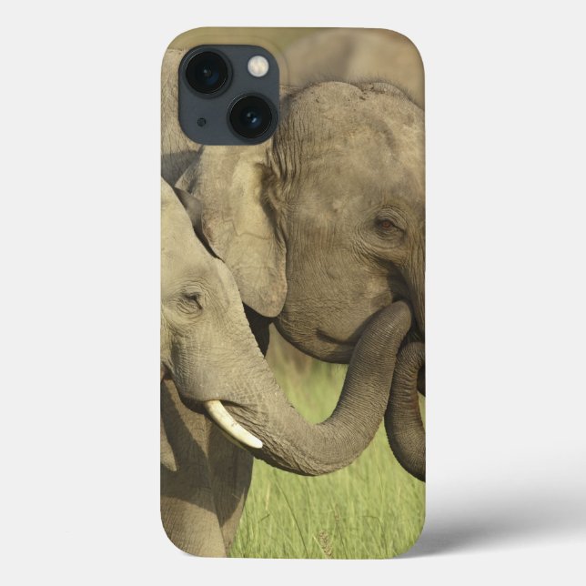 Asiatische Elefanten Case-Mate iPhone Hülle (Rückseite)