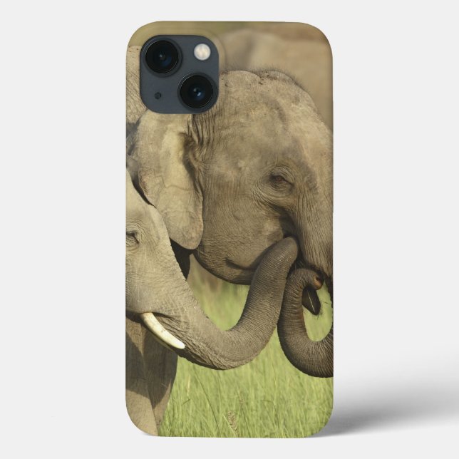 Asiatische Elefanten Case-Mate iPhone Hülle (Rückseite)