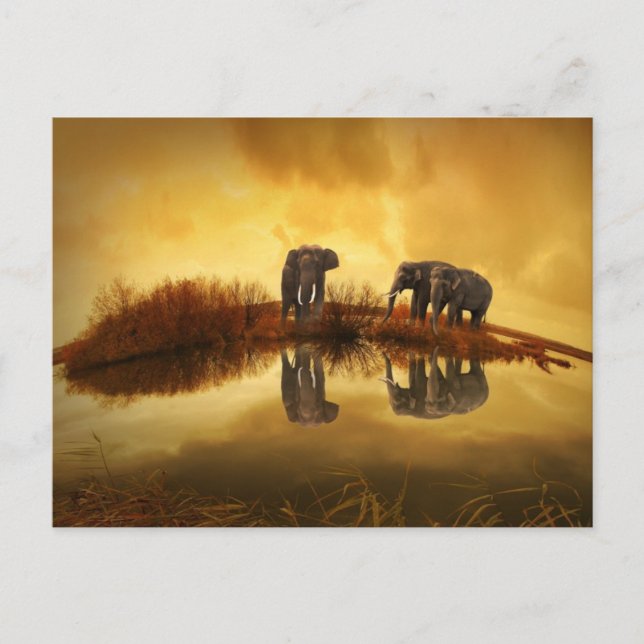 Asiatische Elefanten in Thailand unter einem strah Postkarte (Vorderseite)