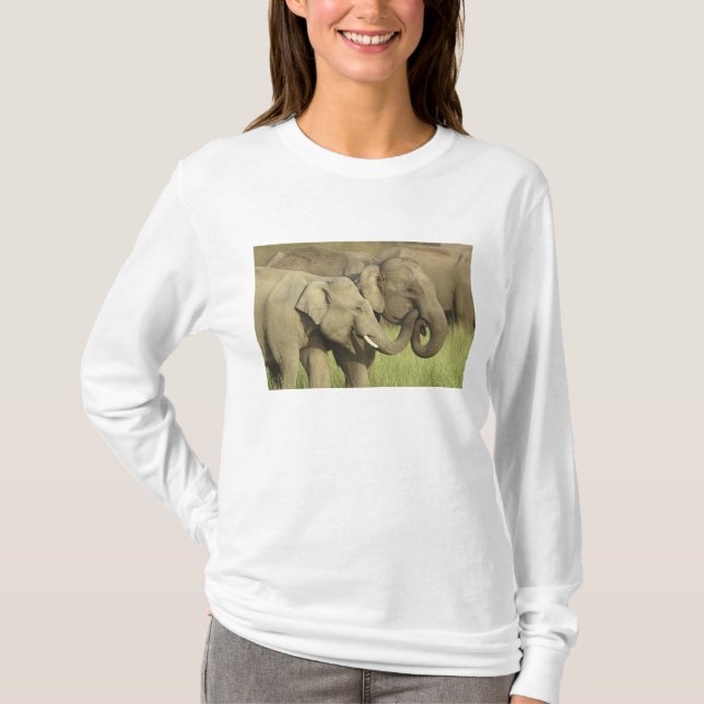Asiatische Elefanten T-Shirt (Vorderseite)