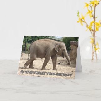 Asiatische Elefanten wandern auf der Sand Birthday Karte