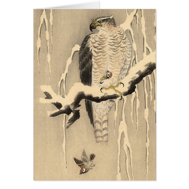 Asiatische Goshawk-Malerei (Vorne)
