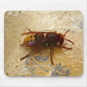 Asiatische Hornet-Maus-Mat Mousepad