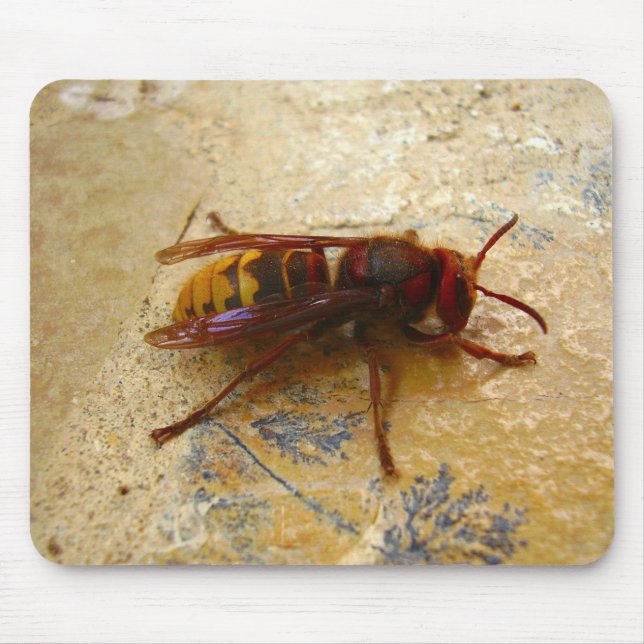 Asiatische Hornet-Maus-Mat Mousepad (Vorne)