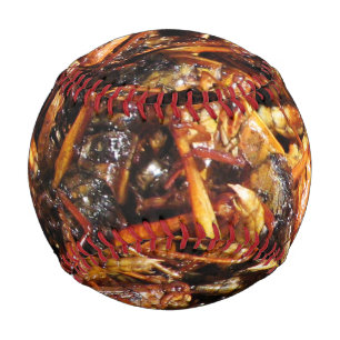 Asiatische Küche mit frittiertem Grasshopper (Takk Baseball