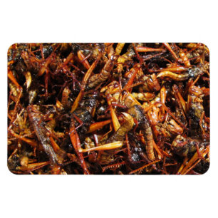 Asiatische Küche mit frittiertem Grasshopper (Takk Magnet