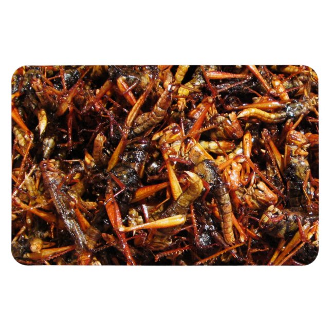 Asiatische Küche mit frittiertem Grasshopper (Takk Magnet (Horizontal)