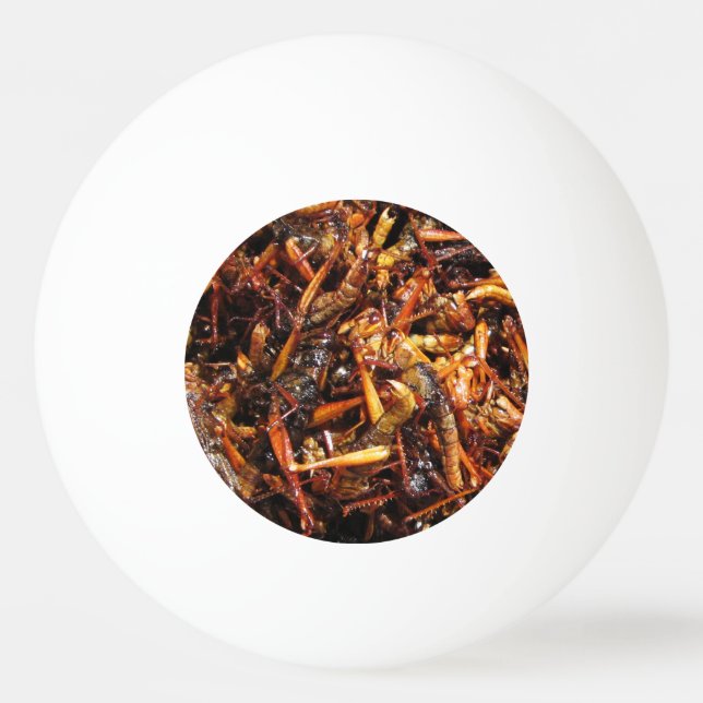 Asiatische Küche mit frittiertem Grasshopper (Takk Tischtennisball (Vorderseite)