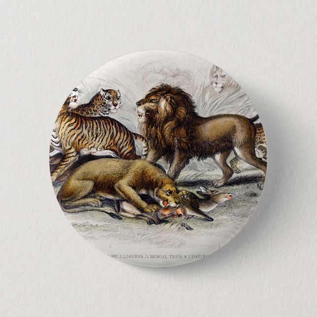 Asiatische Löwe, Löwe, Bengalischer Tiger, Leopard Button (Vorderseite)