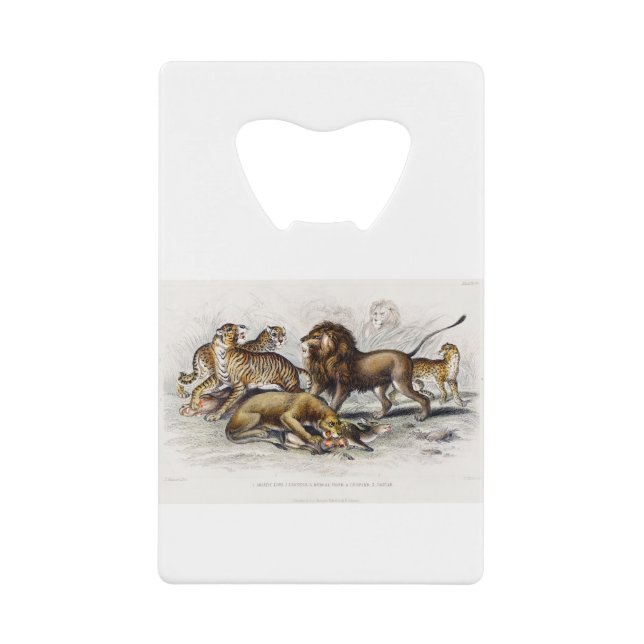 Asiatische Löwe, Löwe, Bengalischer Tiger, Leopard Geldbeutel Flaschenöffner (Vorderseite)