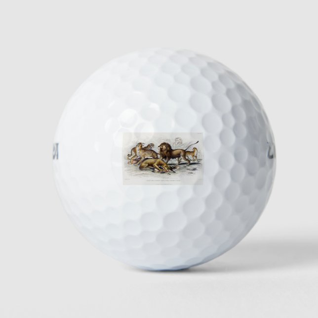 Asiatische Löwe, Löwe, Bengalischer Tiger, Leopard Golfball (Vorderseite)