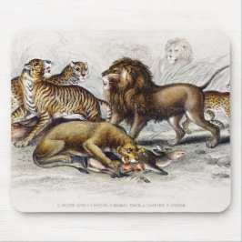 Asiatische Löwe, Löwe, Bengalischer Tiger, Leopard Mousepad
