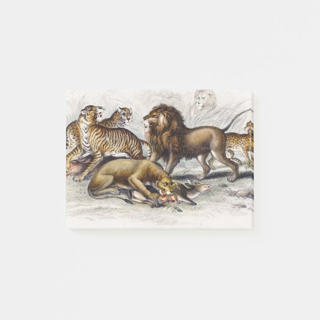 Asiatische Löwe, Löwe, Bengalischer Tiger, Leopard Post-it Klebezettel (Vorderseite)