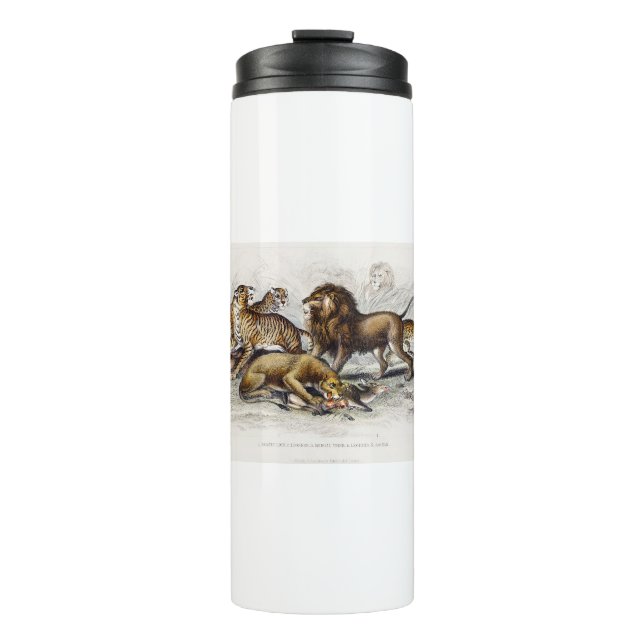 Asiatische Löwe, Löwe, Bengalischer Tiger, Leopard Thermosbecher (Vorderseite)