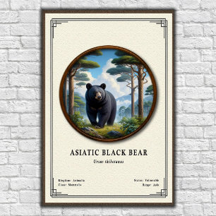 Asiatische Schwarzbären-Zoologie-Serie Poster