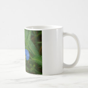 Asiatische Tagblume Blau Wilde Blume Bekleidung & Tasse