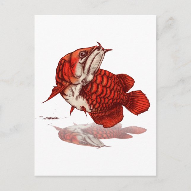 Asiatischer Amöan Postkarte (Vorderseite)