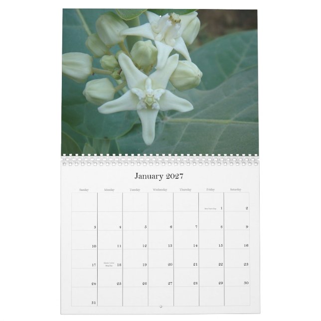 Asiatischer Blumen-Südkalender Kalender (Jan 2027)