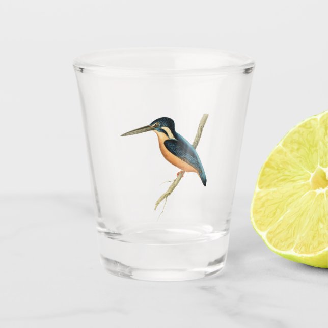 Asiatischer Eisvogel Schnapsglas (Vorderseite)
