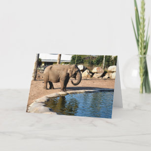 Asiatischer Elefant Feiertagskarte