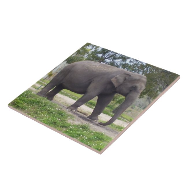 Asiatischer Elefant Fliese (Seite)