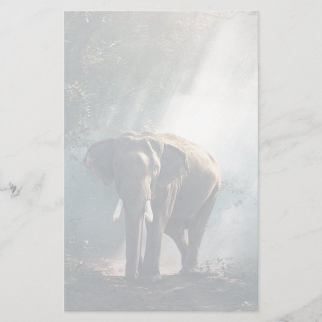Asiatischer Elefant in einem sonnenbeleuchteten Wa Briefpapier (Vorderseite)