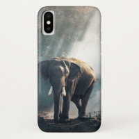 Asiatischer Elefant in einem sonnenbeleuchteten Wa