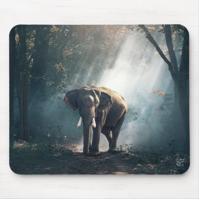 Asiatischer Elefant in einem sonnenbeleuchteten Wa Mousepad (Vorne)