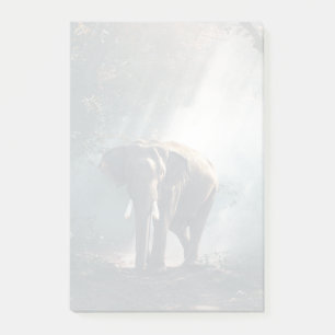Asiatischer Elefant in einem sonnenbeleuchteten Wa Post-it Klebezettel