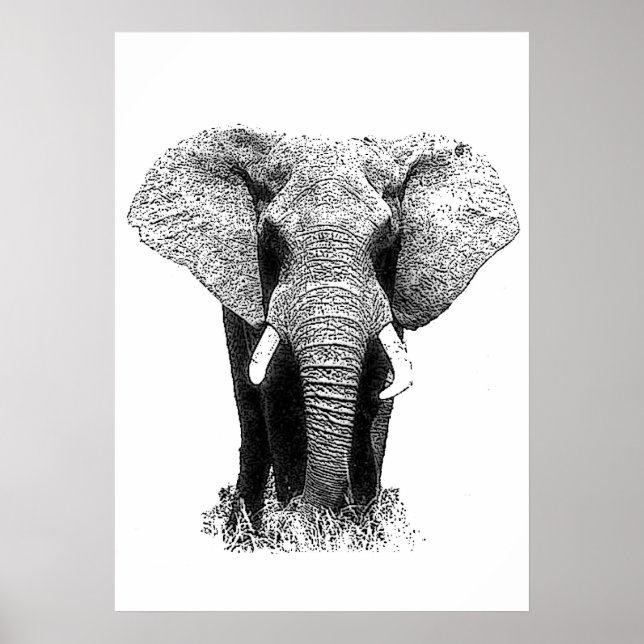 Asiatischer Elefant Pop Schwarz & Weiß Art Poster (Vorne)