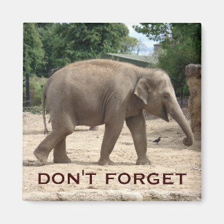 Asiatischer Elefant speichert das Datumsfenster Magnet