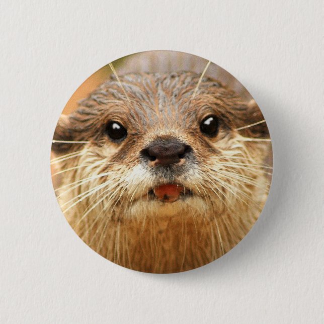 Asiatischer kleiner gekratzter Otter Button (Vorderseite)