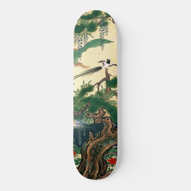 Asiatischer Rote Skateboard (Vorderseite)