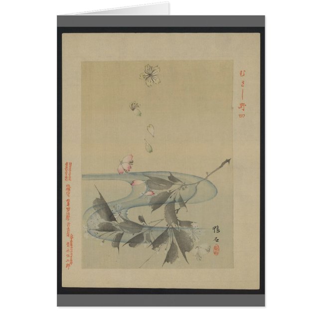 Asiatischer Strom (Vorne)