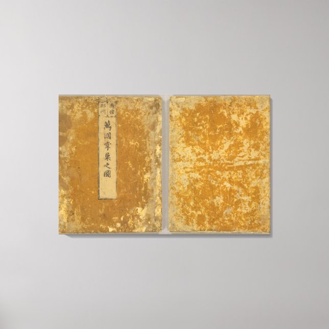 Asien 46 leinwanddruck (Vorderseite)