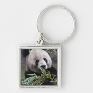 Asien, China Chongqing. Riesiger Panda Schlüsselanhänger