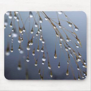 Asien, China Huansan, Dewdrops Mousepad