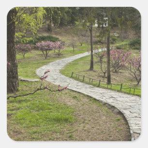 Asien, China, Peking. Frühlingsblüten entlang Quadratischer Aufkleber